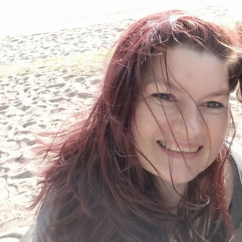 system wosiedle zarządzanie